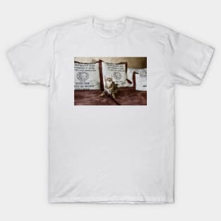 Savannah cat T-Shirt